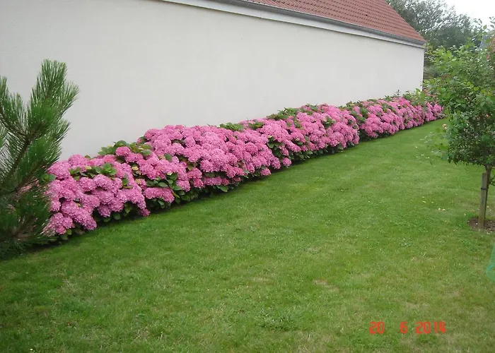 Chambres d'Hôtes La Villa des Hortensias